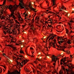 Meet your Posher, Debra